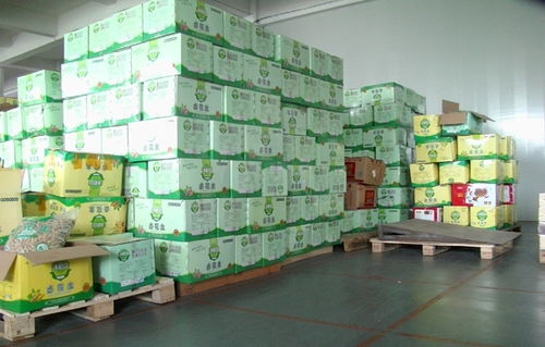 廣州食品倉庫托管服務 龍森倉儲的專業(yè)解決方案