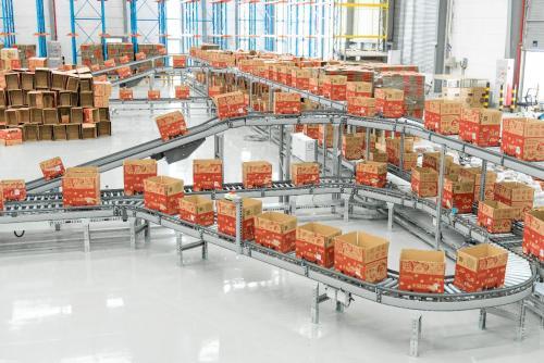 年貨節(jié)倉儲物流承壓挑戰(zhàn)及普通貨物倉儲服務(wù)應(yīng)對策略