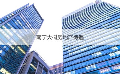 南寧大樹房地產待遇及二手日用百貨銷售前景淺析